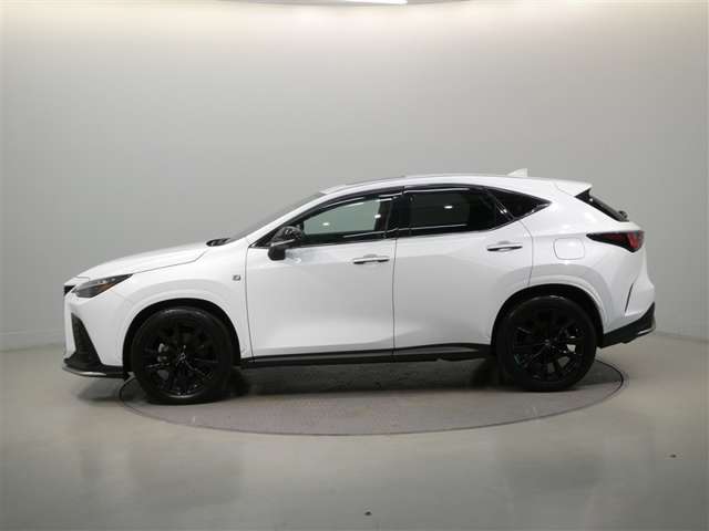 Lexus NX 4