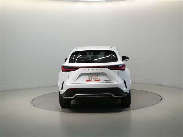 Lexus NX 6