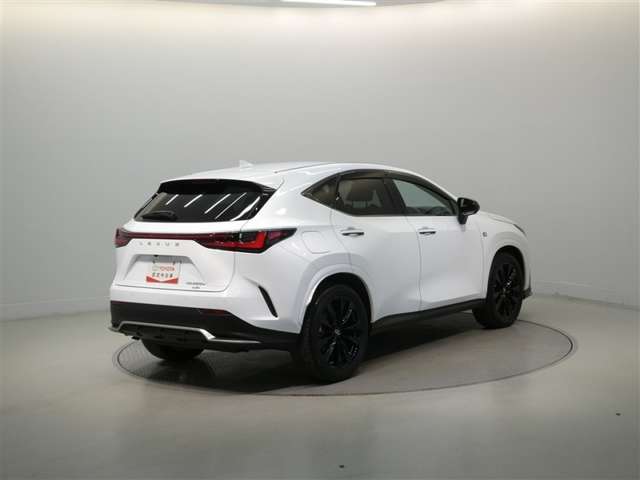 Lexus NX 7