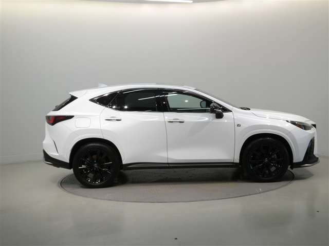 Lexus NX 8