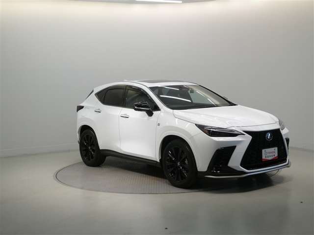 Lexus NX 9