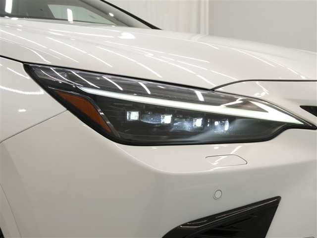 Lexus NX 10