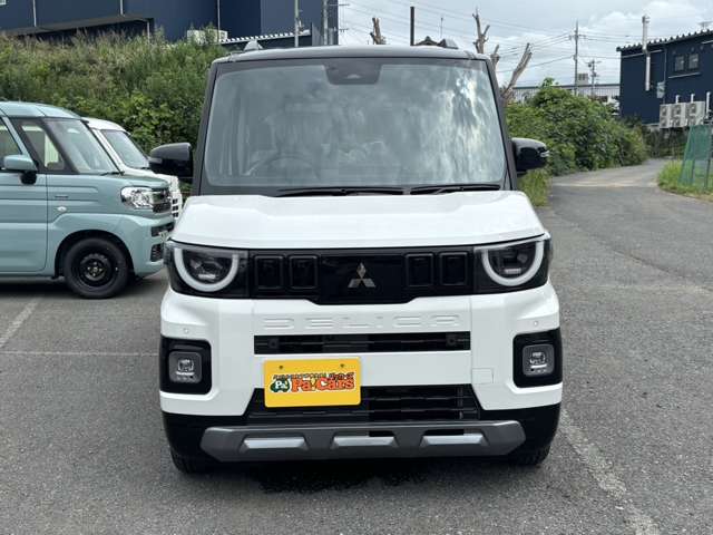 Mitsubishi Delica Mini 6