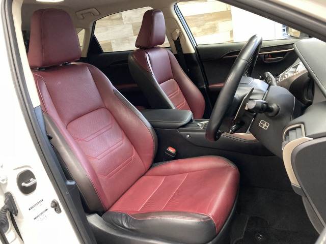 Lexus NX 12