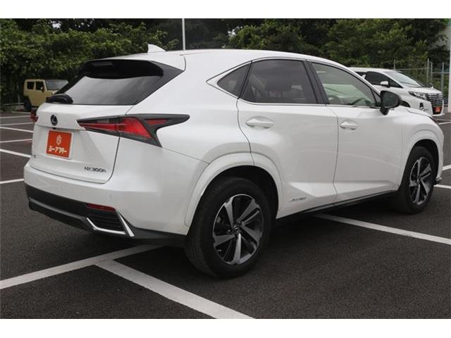 Lexus NX 11