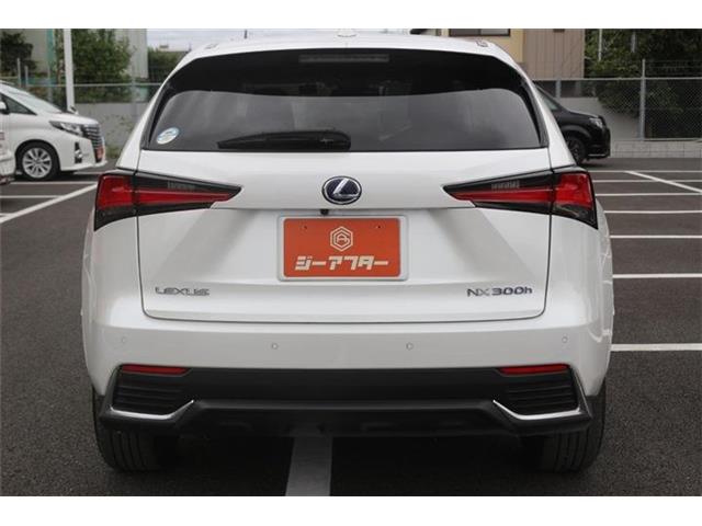 Lexus NX 12