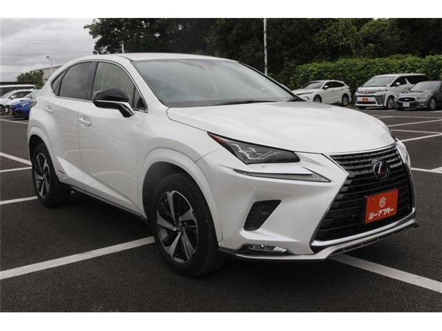 Lexus NX 9