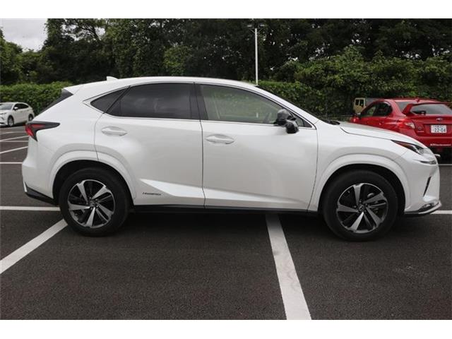 Lexus NX 10