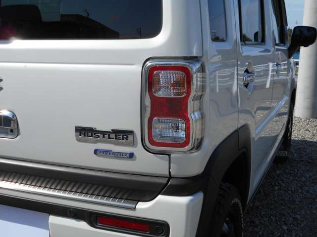 Suzuki Hustler 12