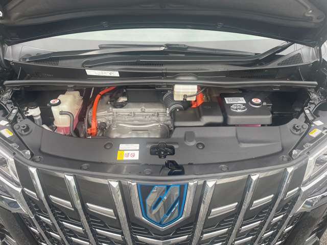 Toyota Alphard 6