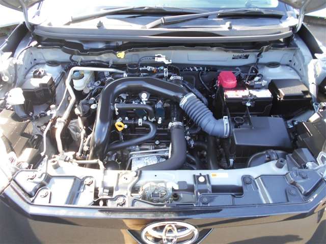 Toyota Raize 9