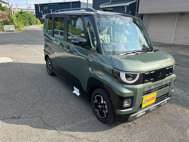Mitsubishi Delica Mini 6