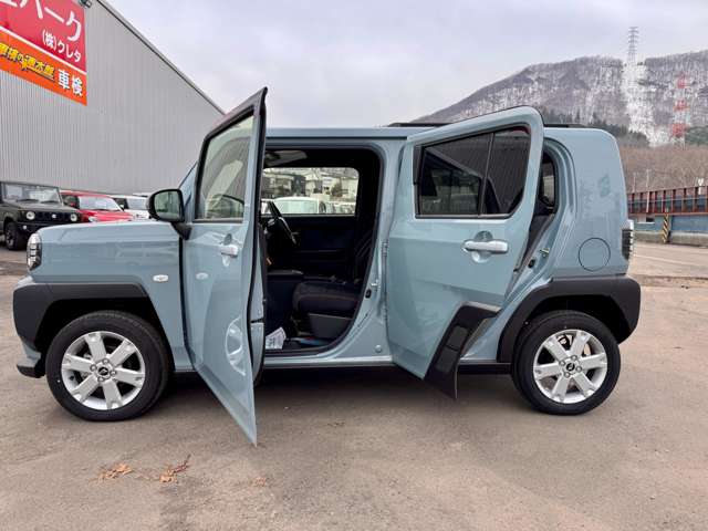 Daihatsu Taft 11