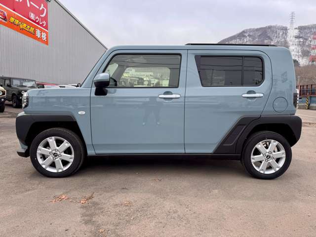 Daihatsu Taft 9