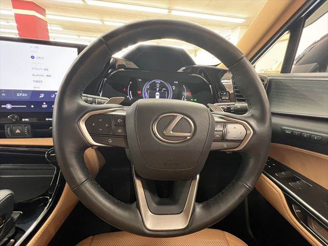 Lexus NX 11
