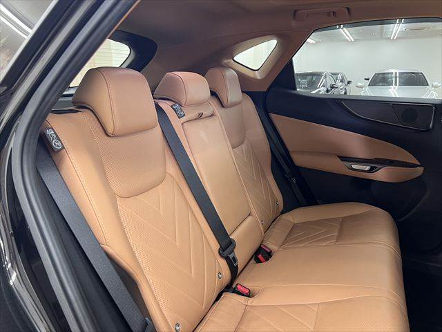 Lexus NX 9