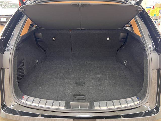 Lexus NX 10