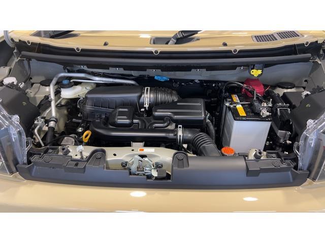 Daihatsu Taft 11