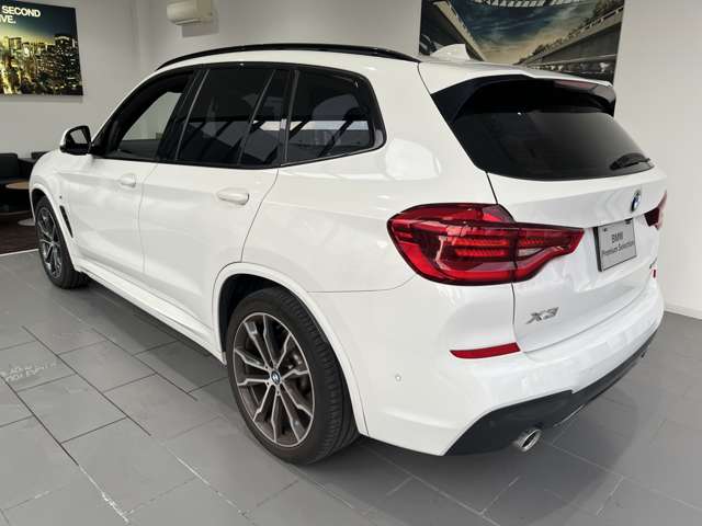 BMW X3 10