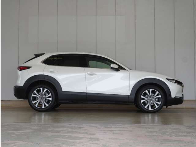 Mazda CX-30 10