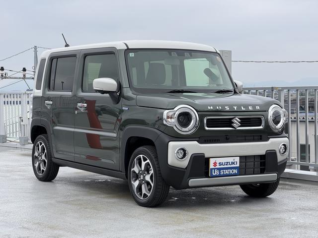 Suzuki Hustler 6