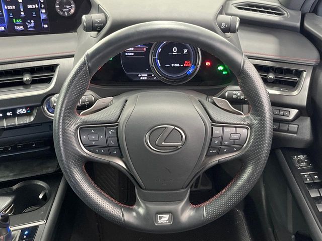 Lexus UX 11