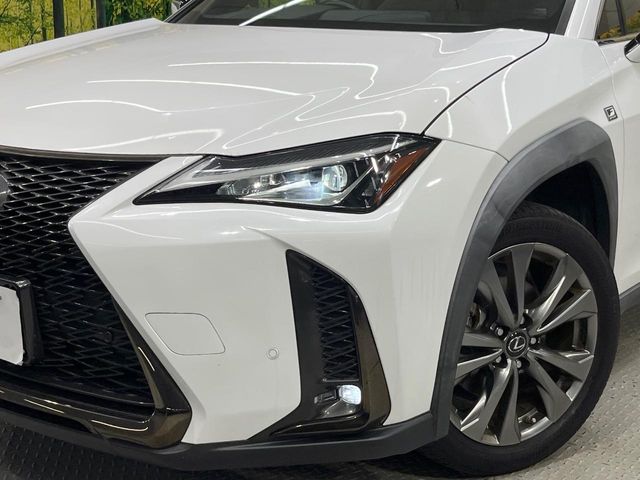Lexus UX 12