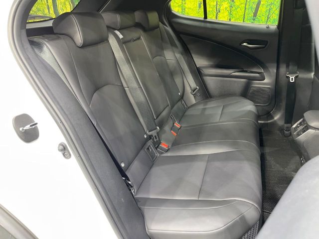 Lexus UX 9