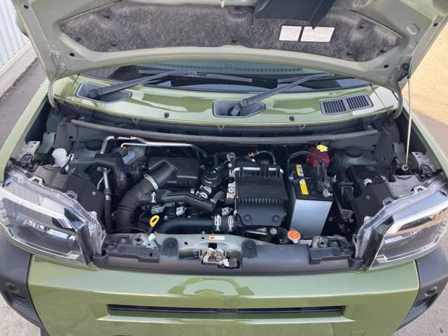 Daihatsu Taft 6