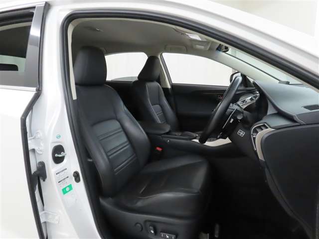 Lexus NX 10