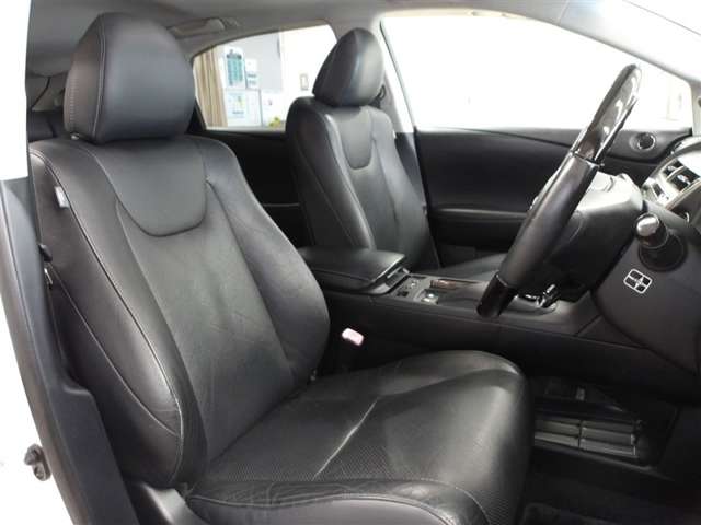 Lexus RX Hybrid 11