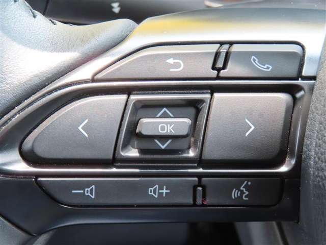 Toyota Yaris Cross 12