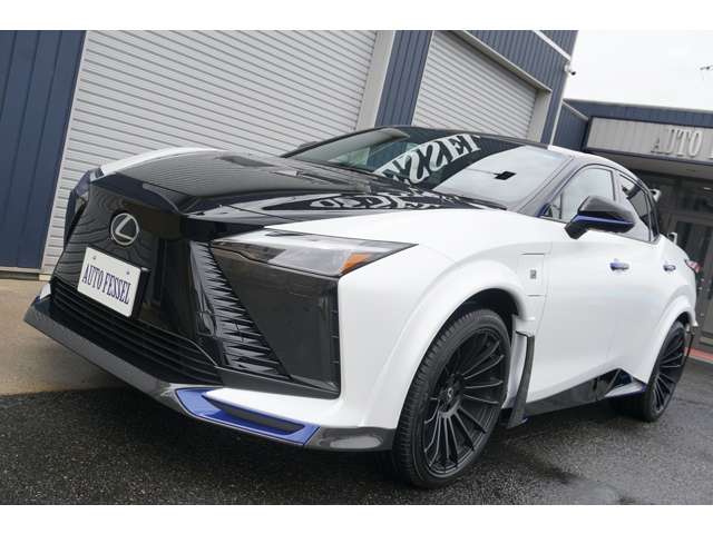 Lexus RZ 11