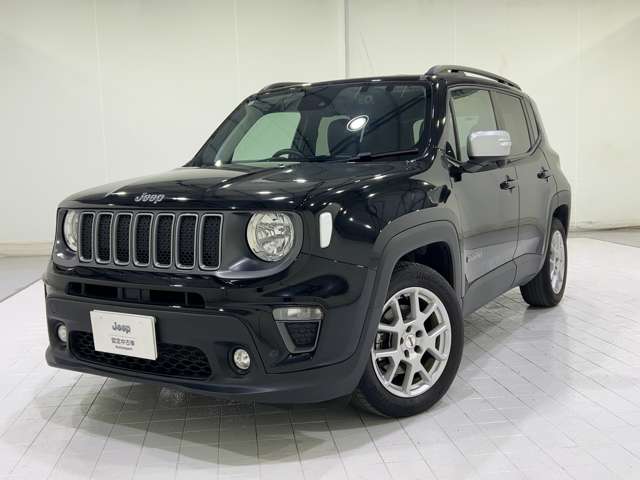 Jeep Renegade 10
