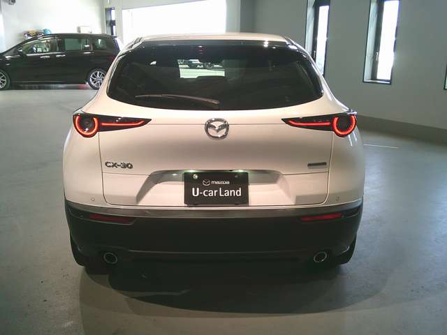 Mazda CX-30 6