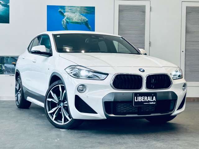 BMW X2 6