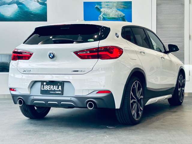 BMW X2 9