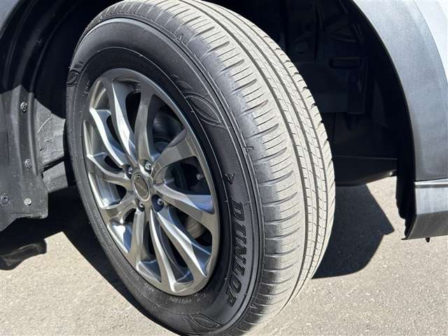 Toyota Raize 9
