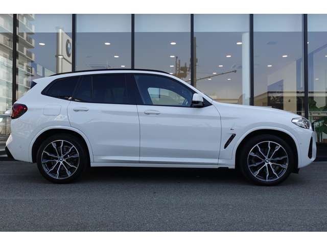 BMW X3 10