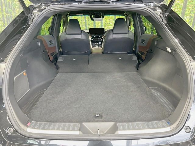 Toyota Harrier 10