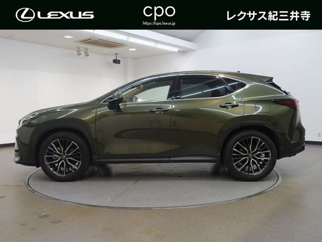 Lexus NX 3