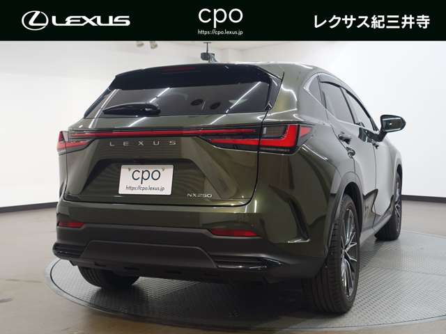 Lexus NX 4