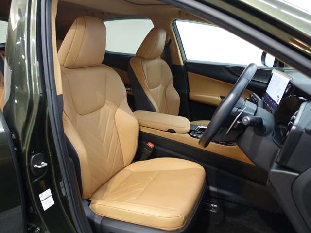 Lexus NX 6