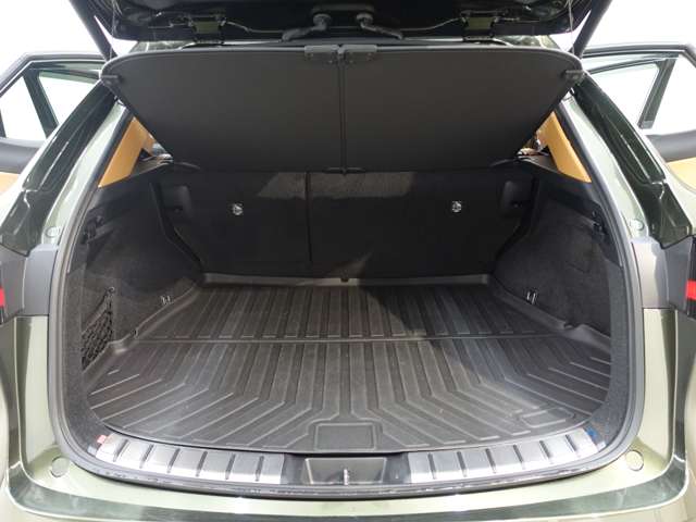 Lexus NX 9