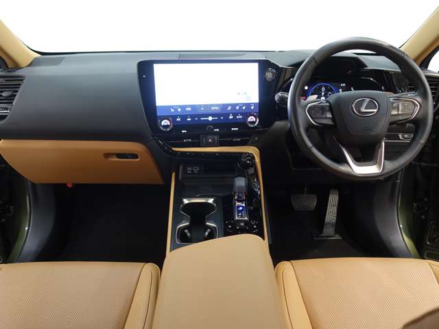 Lexus NX 10