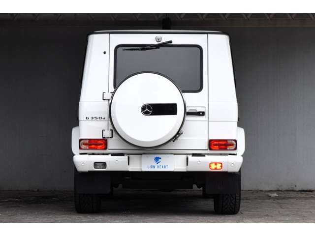 Mercedes-Benz G-Class 6