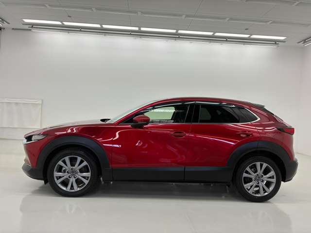 Mazda CX-30 12