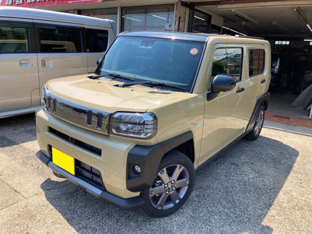 Daihatsu Taft 6