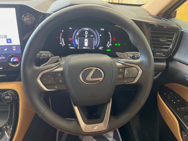Lexus NX 11