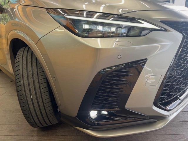 Lexus NX 12